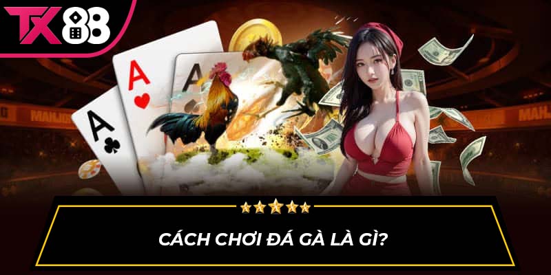 Cách chơi đá gà là gì?