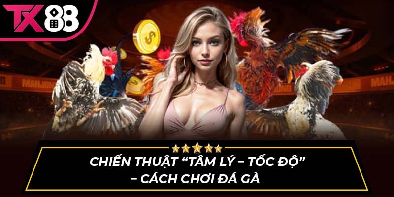 Chiến thuật “Tâm lý – Tốc độ” – Cách chơi đá gà