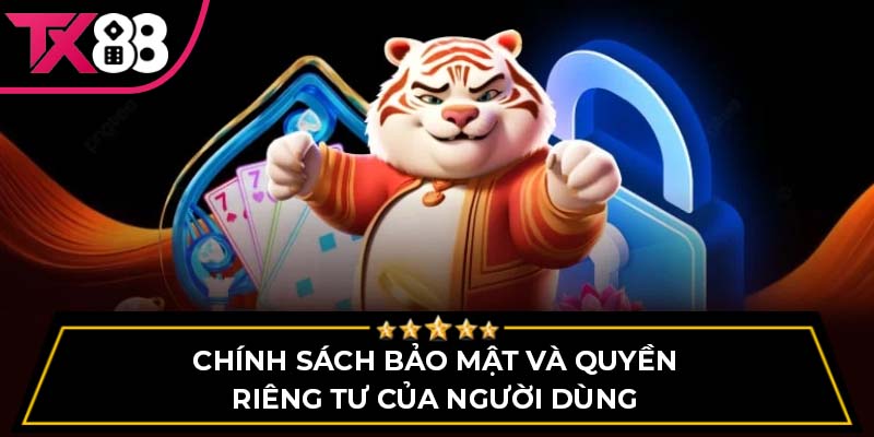 Chính sách bảo mật và quyền riêng tư của người dùng
