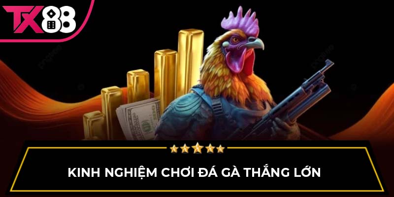 Kinh nghiệm chơi đá gà thắng lớn 