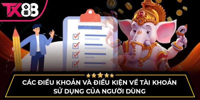 Các điều khoản và điều kiện về tài khoản sử dụng của người dùng